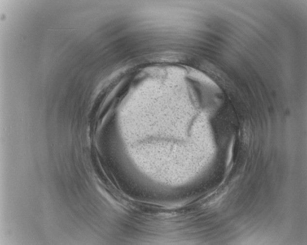 X0000061150302200512092006