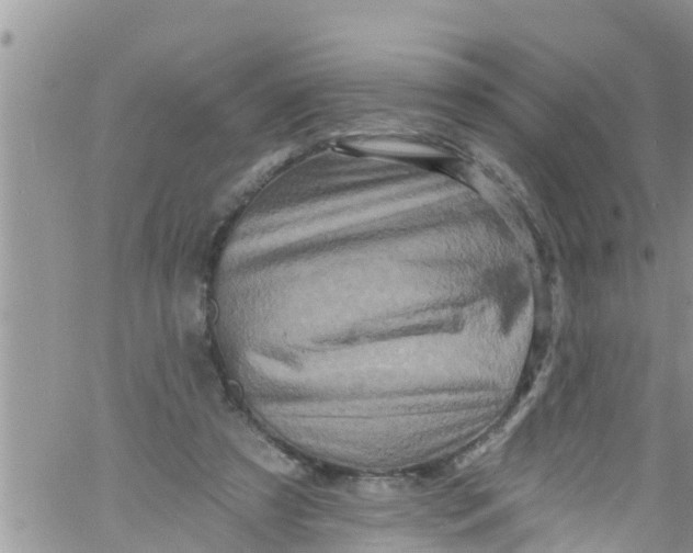 X0000061150305200512092006