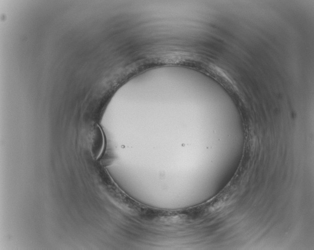 X0000061150307200512092006