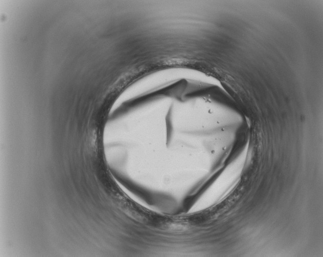 X0000061150308200512092006