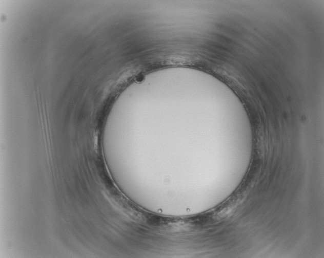 X0000061150310200512092006