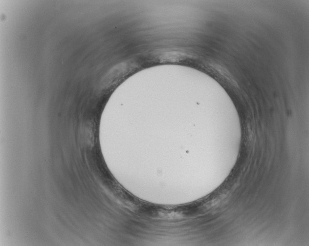 X0000061150311200512092006