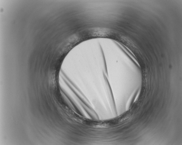 X0000061150312200512092006