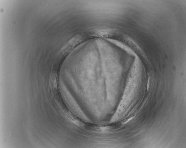 X0000061150313200512092006