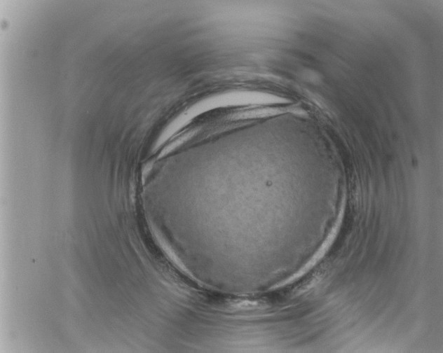 X0000061150315200512092006