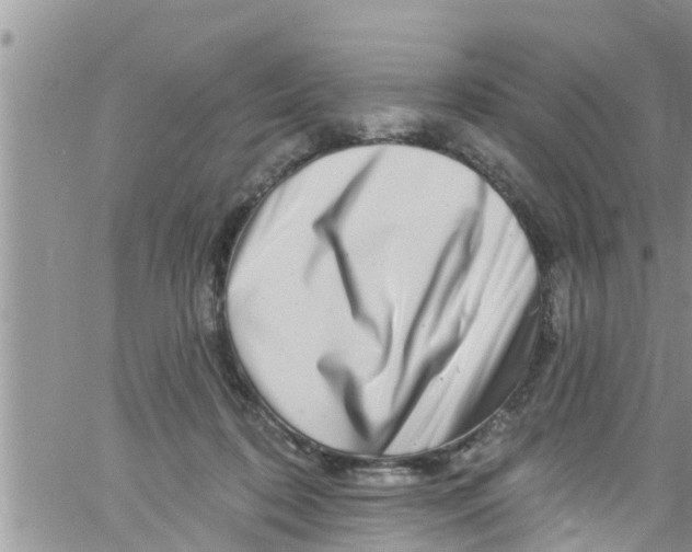 X0000061150316200512092006