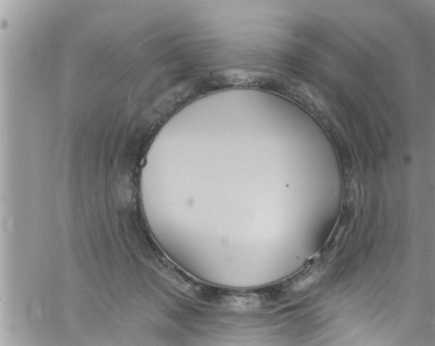 X0000061150317200512092006