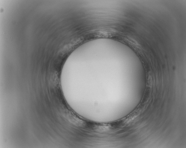 X0000061150318200512092006