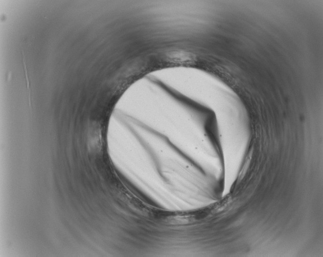 X0000061150320200512092006