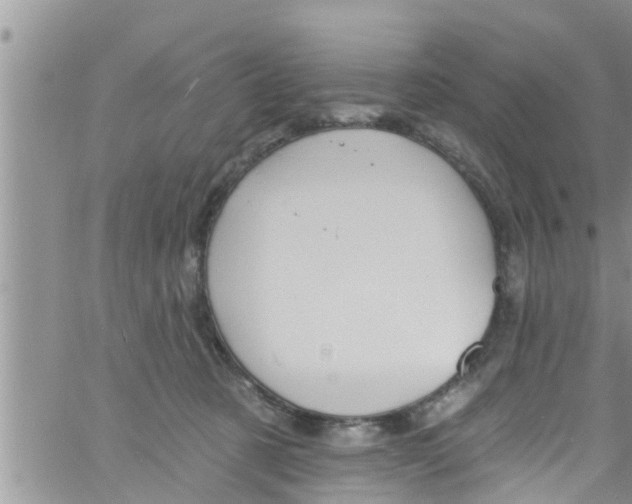 X0000061150321200512092006