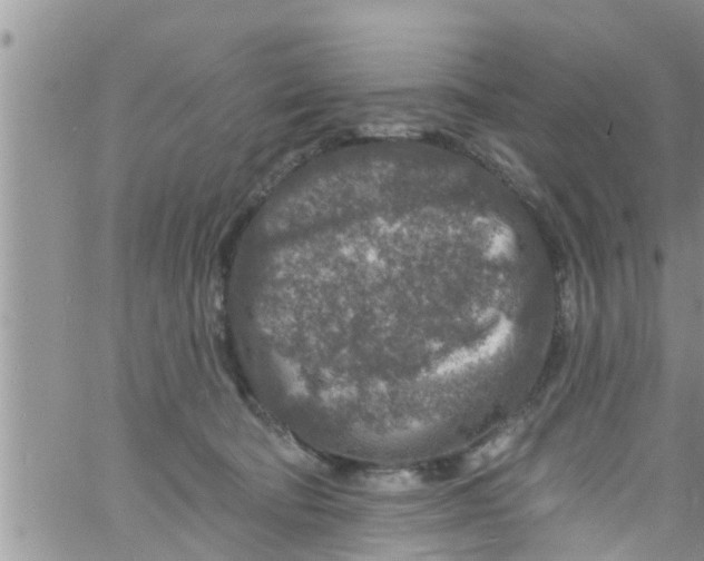 X0000061150322200512092006