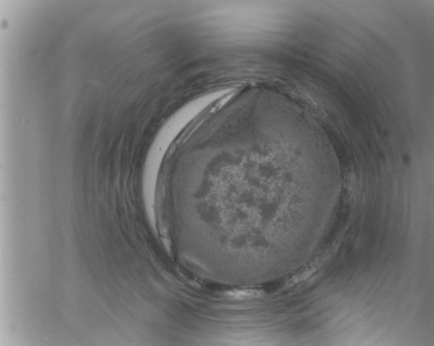 X0000061150323200512092006