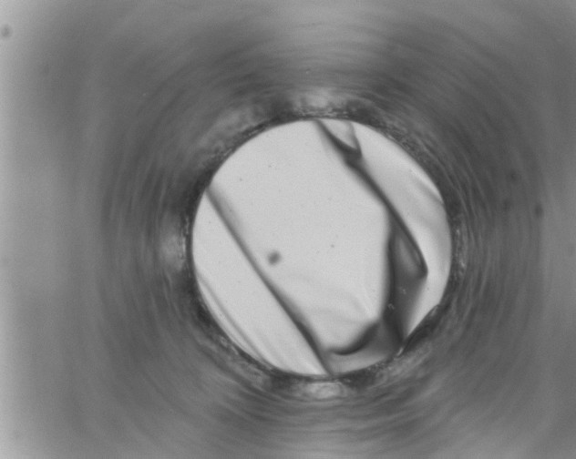 X0000061150324200512092006