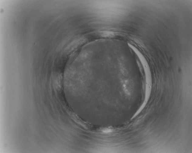 X0000061150325200512092006