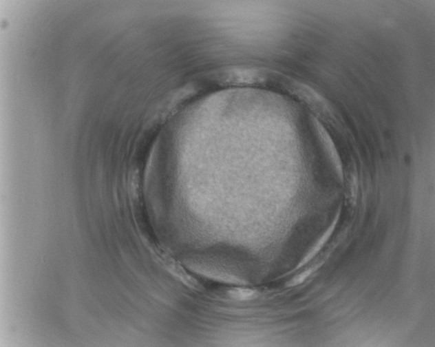 X0000061150326200512092006