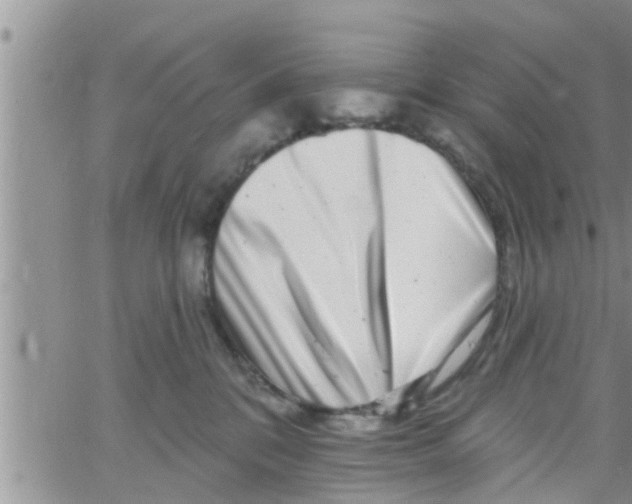 X0000061150328200512092006