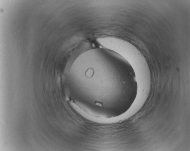 X0000061150329200512092006