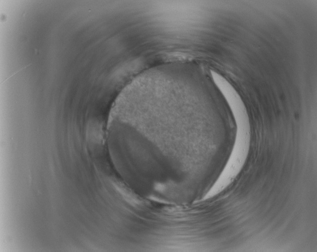 X0000061150331200512092006