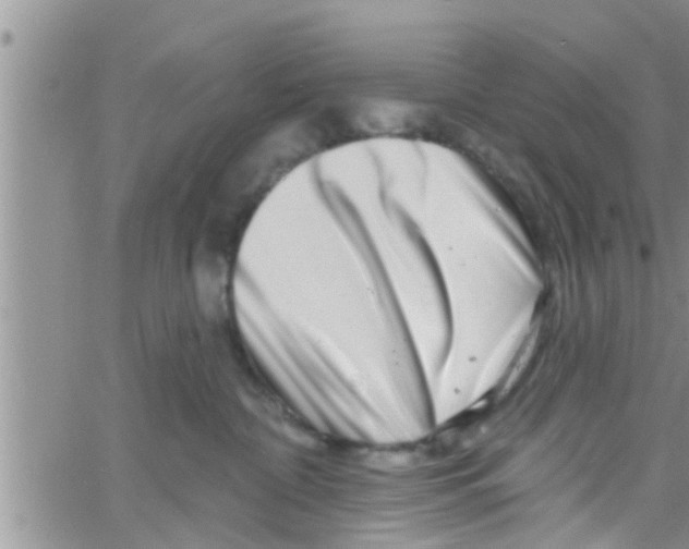 X0000061150332200512092005