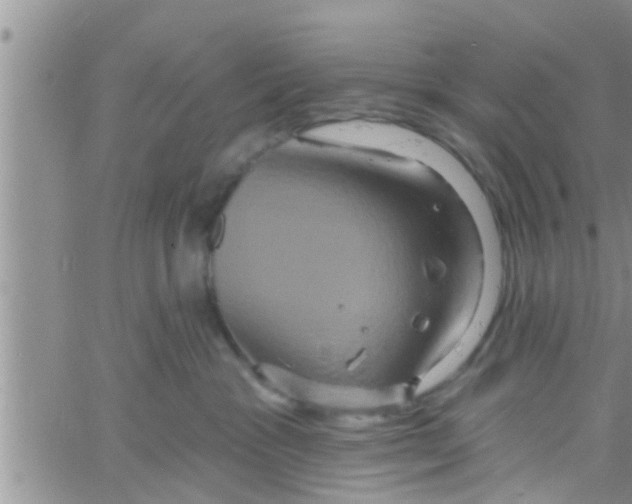 X0000061150333200512092005