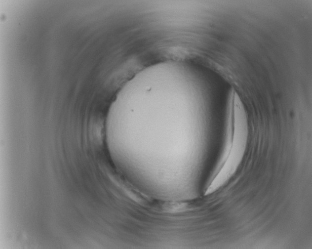 X0000061150334200512092005