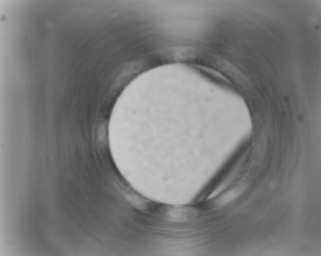 X0000061150336200512092005