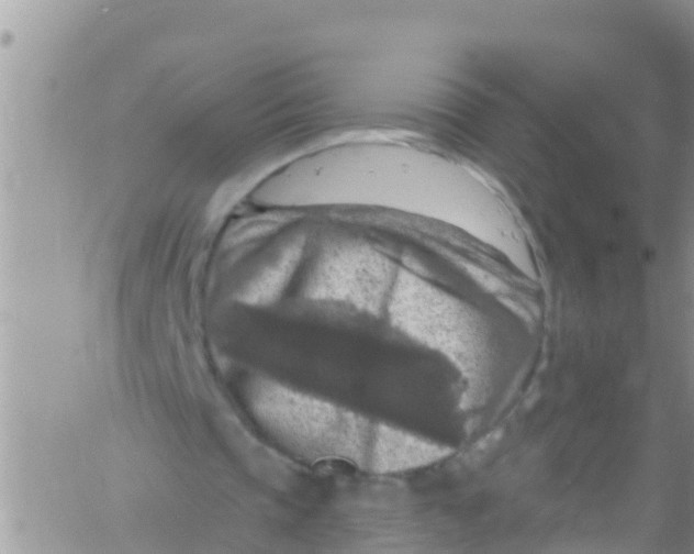 X0000061150337200512092005