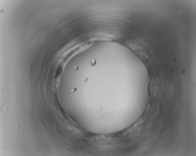 X0000061150338200512092005