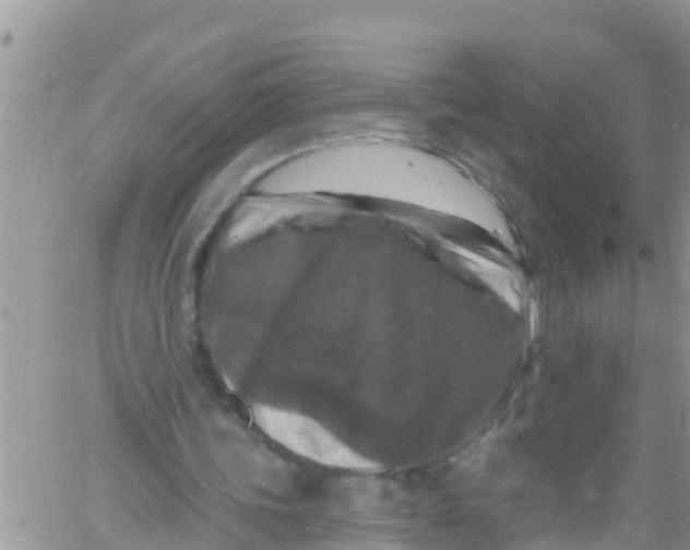 X0000061150339200512092005