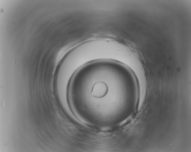 X0000061150340200512092005