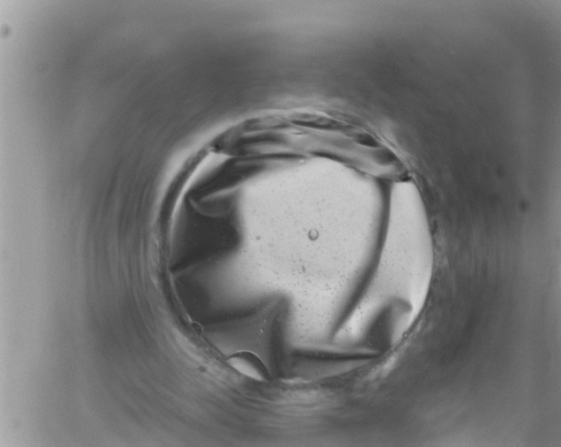 X0000061150342200512092005