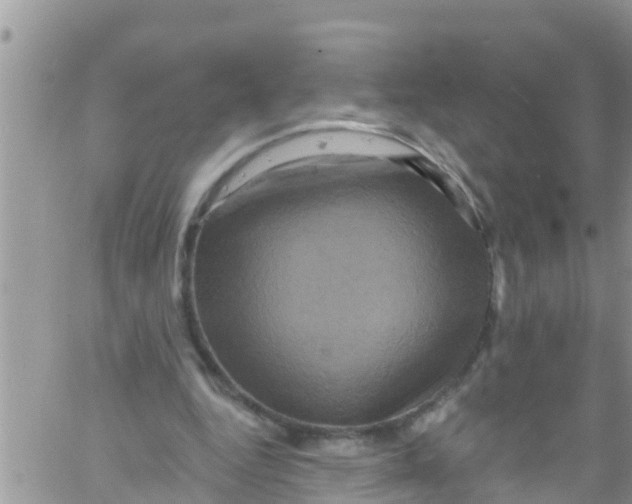 X0000061150344200512092005