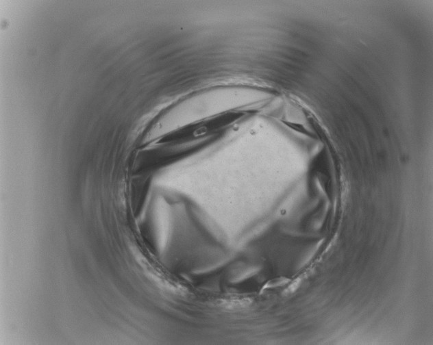 X0000061150345200512092005