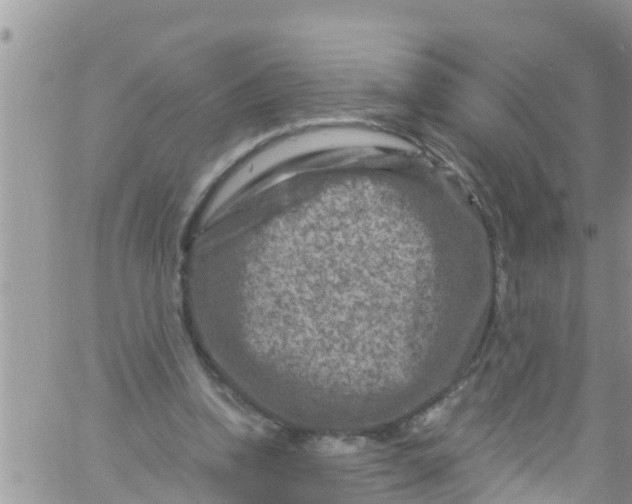 X0000061150346200512092005