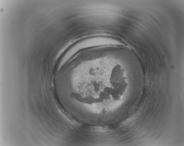 X0000061150347200512092005