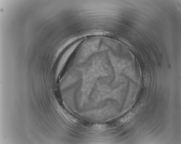 X0000061150350200512092005