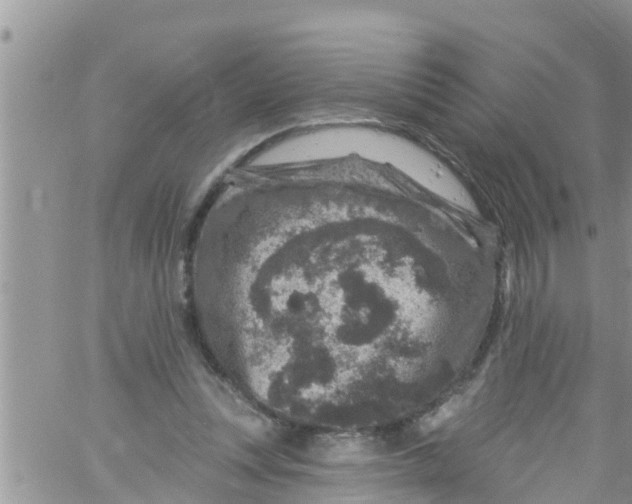 X0000061150351200512092005