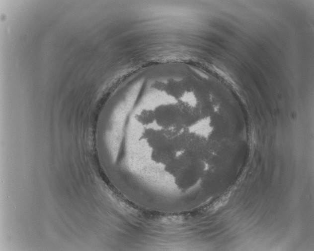 X0000061150353200512092005