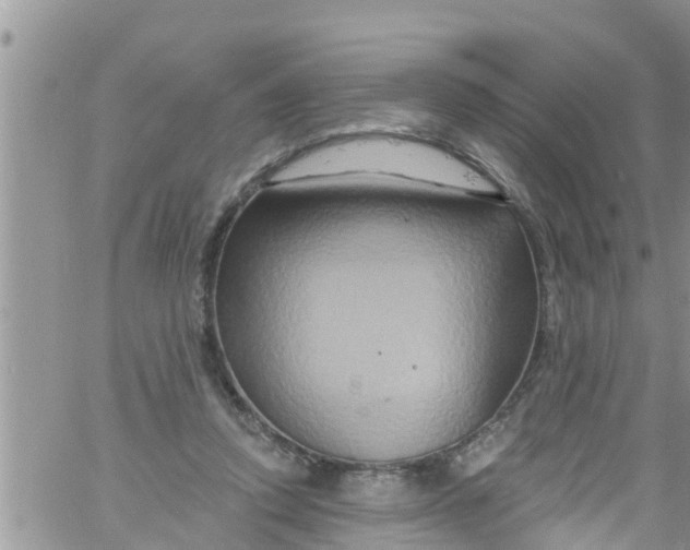 X0000061150354200512092005