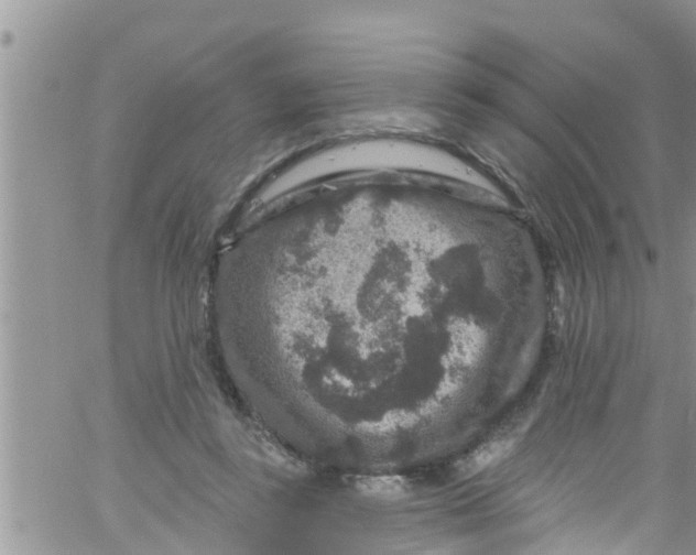 X0000061150355200512092005