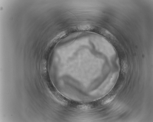 X0000061150356200512092005