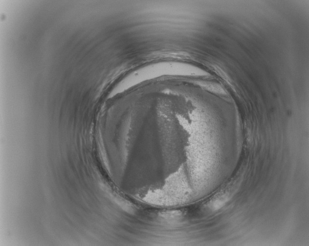 X0000061150357200512092005