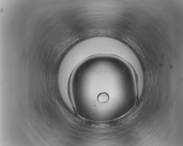 X0000061150359200512092005