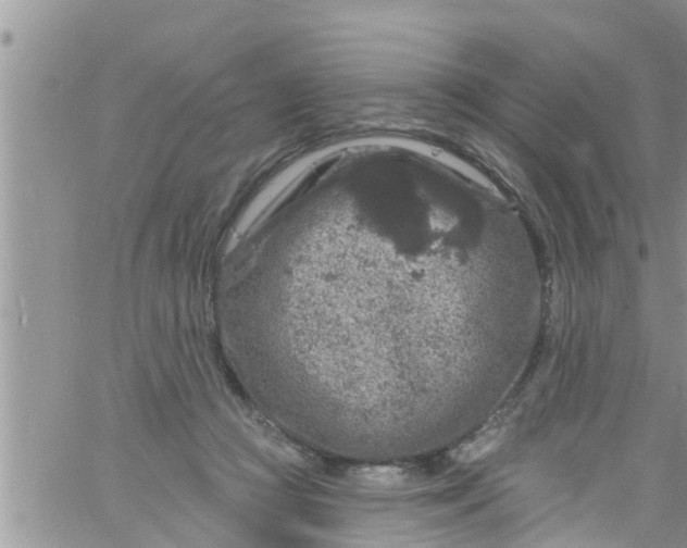 X0000061150361200512092005