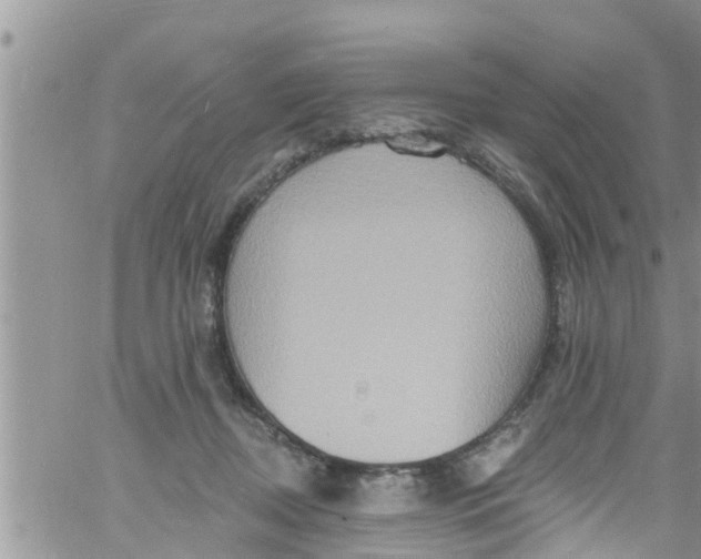 X0000061150362200512092005