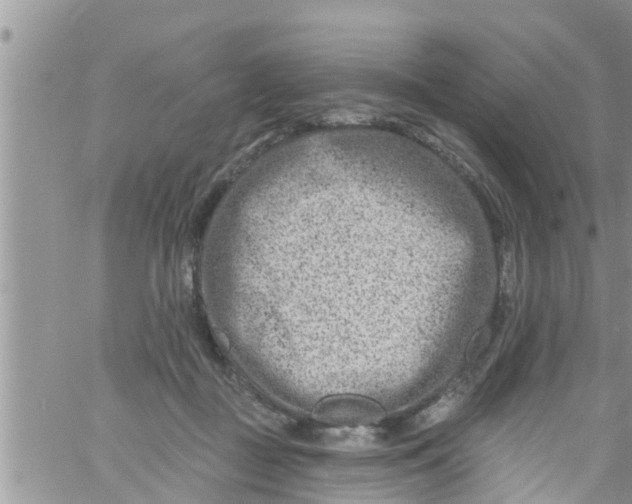 X0000061150363200512092005