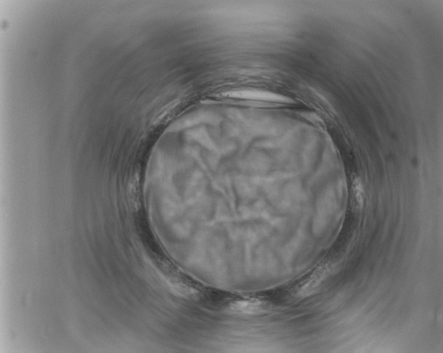 X0000061150364200512092005