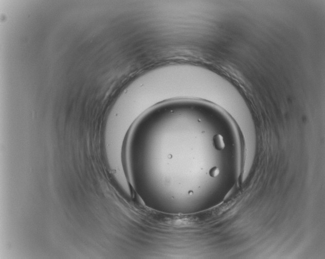 X0000061150365200512092005