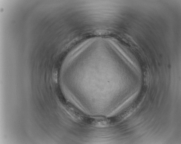 X0000061150368200512092005