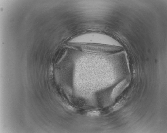 X0000061150369200512092005